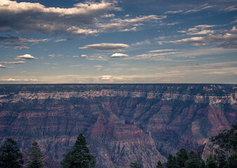 Perfect Colored Canyon and Pine Lines, Cloudy Sky Background Grand Canyon National Park, Arizona, USA