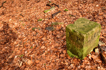 Grenzstein im Nationalpark Hunsrück-Hochwald