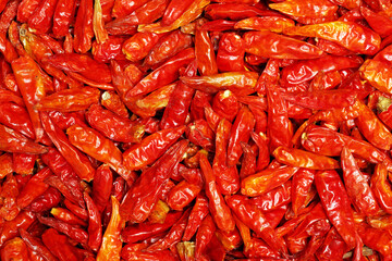 dry red pepper on white background