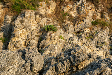 View of the stone coast.