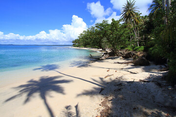 tropical sand beach with palm trees and blue water