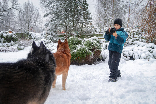 Boy with camera photographs dogs in winter park, snowfall