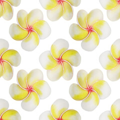 Exotic plumeria flowers seamless tropical pattern. White background. Watercolor painting hand drawn botanical art. Yellow and white flowers endless ornament. For fabric, wrapping paper, wallpaper