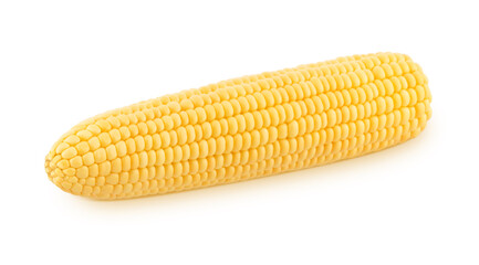 Fresh whole peeled corn cob isolated on a white background.