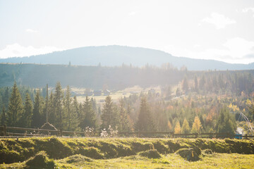 Forest and mountains views, concept of trip and travelling. European landscape view, concept of weekend in beautiful place