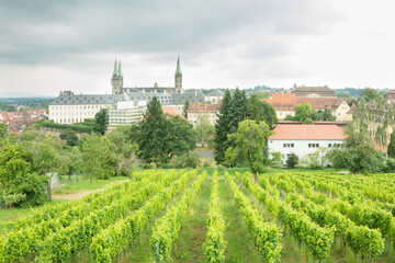 Fototapeta na wymiar vineyard overlooking a town in europe