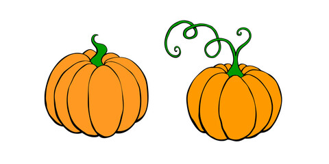 Set of vector color pumpkin in flat style, isolated. Symbol Halloween, autumn, crop, thanksgiving day, fruitful year