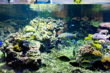 A beautiful view of the Genoa aquarium