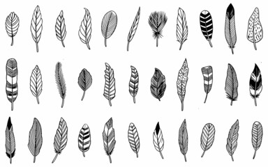 feather set vector, tribal style ethnic, isolated on white background.