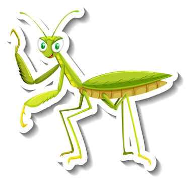 Grasshopper animal cartoon sticker