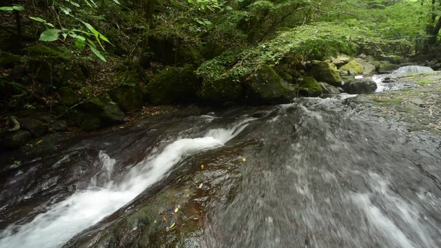 森をバックになめらかな岩盤の斜面を下る川