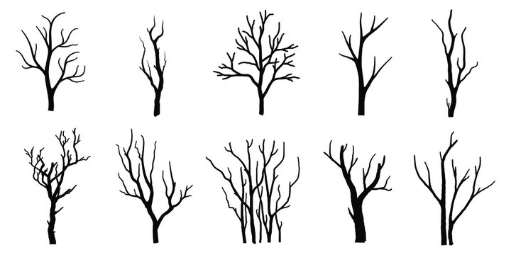Naked trees silhouettes set on white background. Hand drawn isolated illustrations.