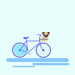 vector bicycle with a pug in a basket. flat pug puppy on a bike