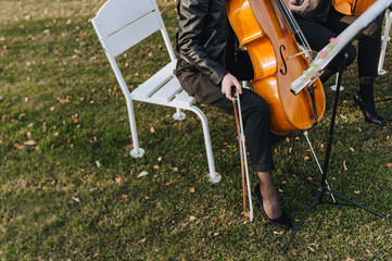 A musician girl holding a double bass sits on a chair outdoors on green grass in a park, preparing...