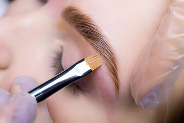 close-up of the eyebrow after the lamination procedure, the master applies a toning agent with a...