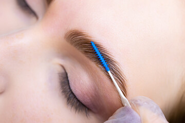 macro photography of eyebrow hairs with dominant compositions applied, the master combs and puts the hairs with a brush