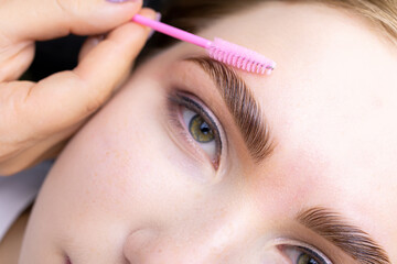 macro photography of the model's hairs the master combs the eyebrow hairs with a pink brush after the procedure long-term styling and lamination - obrazy, fototapety, plakaty