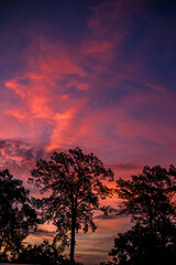 abstract background view of the colorful twilight sky.In the evening, the colorful changes (pink,...