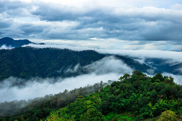Natural blurred background of fog scattered among trees in the morning, with soft sunlight from the sun, seasonal beauty.