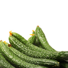 Cucumber on white background