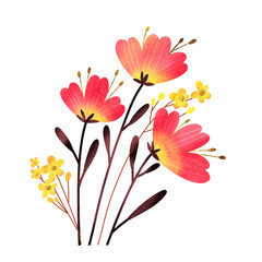 Bright flowers isolated on white background