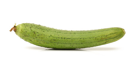 fresh loofah on the white background