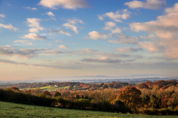 Fototapeta premium At the edge of the high weald, end of autumn from near Dallington in East Sussex with views south to the South Downs, south east England.