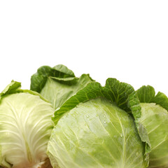 Fototapeta premium Green cabbage isolated on white background