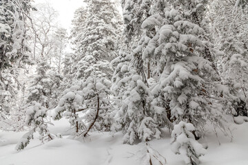 Winter landscape. Taganay national Park, Zlatoust city, Chelyabinsk region, South Ural, Russia.