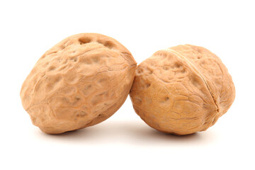 walnut isolated on white background