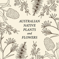 Hand drawn Australian native flowers border © Maria