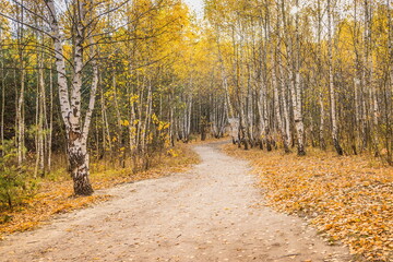 Calm fall season. Beautiful landscape with the road in autumn fo