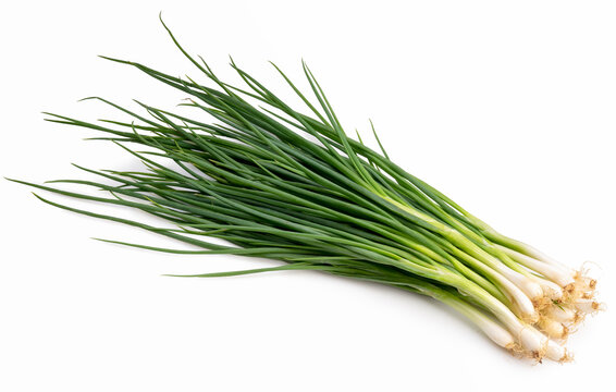 Fresh spring onion isolated on white background, Green onion on White Background.