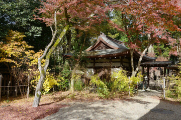 秋の梨木神社　紅葉の境内　京都市上京区