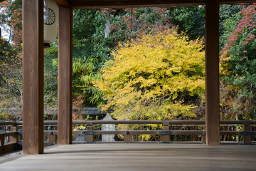 秋の梨木神社　紅葉の境内　京都市上京区