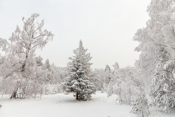 Winter landscape. Taganay national Park, Zlatoust city, Chelyabinsk region, South Ural, Russia