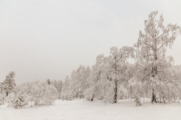 Winter landscape. Taganay national Park, Zlatoust city, Chelyabinsk region, South Ural, Russia