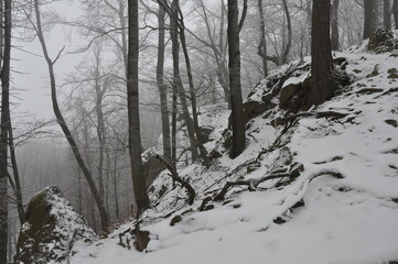 Hiking in Chriby Hills, proper winter conditions