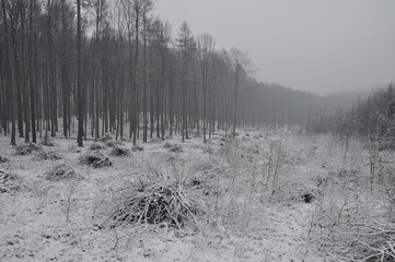 Hiking in Chriby Hills, proper winter conditions