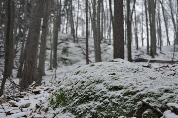 Hiking in Chriby Hills, proper winter conditions