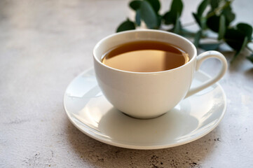 Cup of tea, herabal natural tea. Morning warm tea with eucalyptus leaves