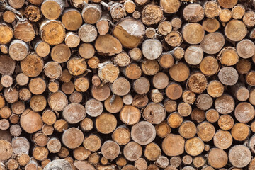 A background of cut wood. Cross sections of pine logs for fire wood or manufacturing.