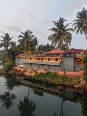 Obraz premium tree in the city