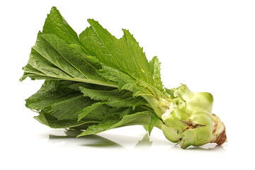 preserved mustard on white background