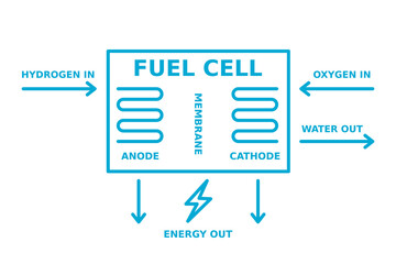 Hydrogen fuel cell. Chemical reaction producing electricity. H2 energy generation. Sustainable and renewable, power source. Anode, cathode, membrane diagram. Vector illustration, outline, clip art. 