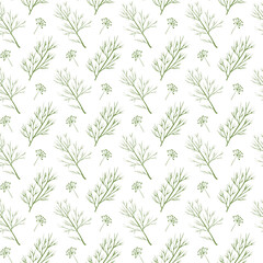 Seamless vector pattern with dill plants, herbal background with greens for textile, fabric