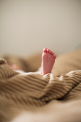 copy space shot of a cute newborn baby foot on a brown beige blanket in bed with a bokeh blurred background