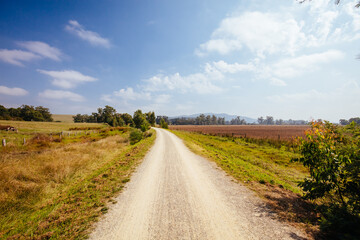 Lilydale to Warburton Rail Trail in Australia