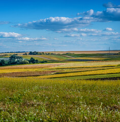 colorful fields and lines, patchwork countryside on the horizon under a blue sky