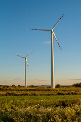 Fototapeta premium evening light and wind turbines in the field on a background of beautiful sky